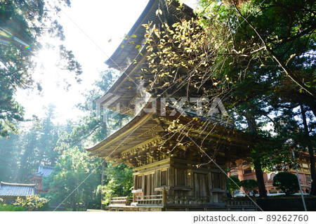 Gota-ji Triple Tower (Niigata Prefecture) 89262760