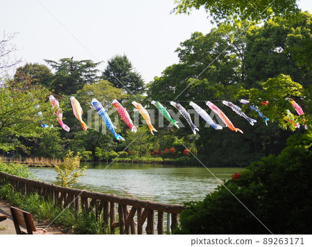善福寺公園的鯉魚旗 善福寺公園的鯉魚旗 89263171