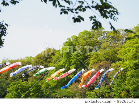 善福寺公園的鯉魚旗 善福寺公園的鯉魚旗 89263173