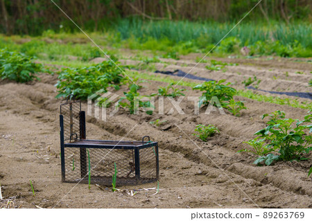 Alien species trap Alien species trap 89263769