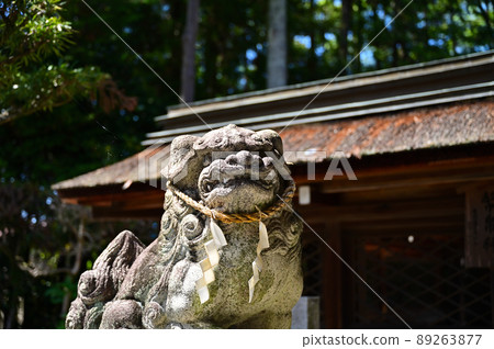 建部大社 建部大社 89263877
