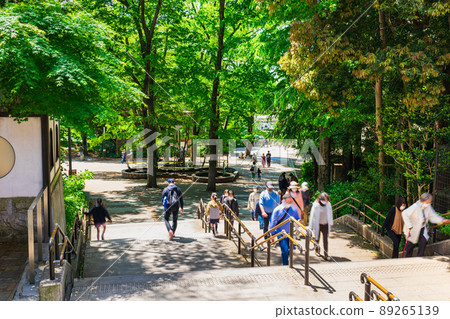 吉祥寺新綠井之頭公園 吉祥寺新綠井之頭公園 89265139