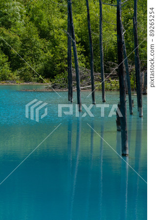 Blue pond Bieicho in early summer 89265254