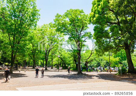 Kichijoji Fresh Green Inokashira Park 89265856