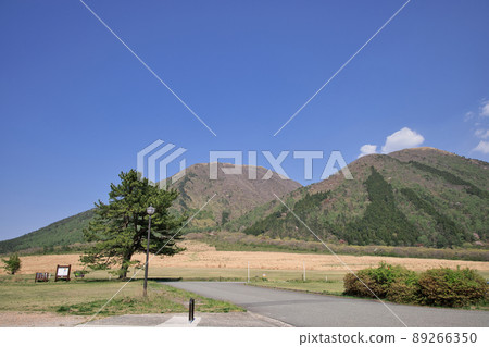 <Shimane Prefecture> Mt. Sanbe Nishihara 89266350