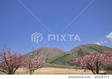 <島根縣>三部山西原，重瓣櫻花盛開 89266353