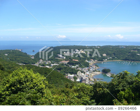 Izu Shimoda Nesugatayama summit, Aizendo 89266466