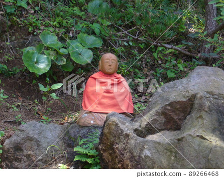 Izu Shimoda Nesugatayama summit, Aizendo Izu Shimoda Nesugatayama summit, Aizendo 89266468