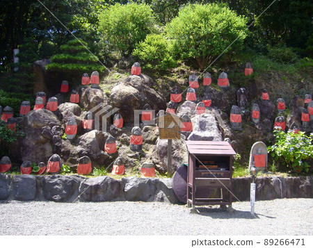 Izu Shimoda Nesugatayama summit, Aizendo Izu Shimoda Nesugatayama summit, Aizendo 89266471