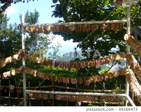 Izu Shimoda Nesugatayama summit, Aizendo Izu Shimoda Nesugatayama summit, Aizendo 89266473