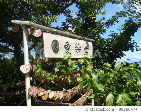 Izu Shimoda Nesugatayama summit, Aizendo Izu Shimoda Nesugatayama summit, Aizendo 89266474