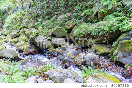 Gifu / Yoro Waterfall and Autumn Leaves Gifu / Yoro Waterfall and Autumn Leaves 89267216