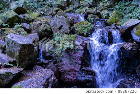 Gifu / Yoro Waterfall and Autumn Leaves Gifu / Yoro Waterfall and Autumn Leaves 89267226