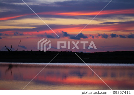 Gamo Tidal Flat at sunrise (Sendai City, Miyagi Prefecture) Gamo Tidal Flat at sunrise (Sendai City, Miyagi Prefecture) 89267411