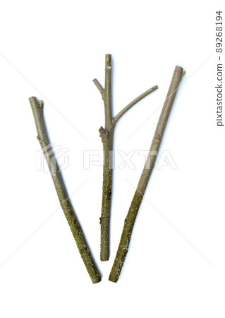 Drunk Furong increase with cuttings (fix shoot) 89268194