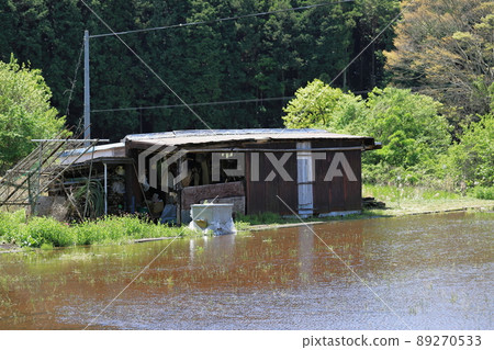 Agricultural work hut (barn) beside the paddy field Agricultural work hut (barn) beside the paddy field 89270533