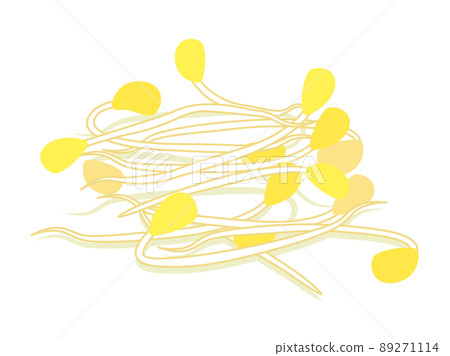 Illustration of bean sprouts 89271114