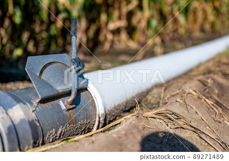 low level selective focus image of furrow irrigation in a corn field low level selective focus image of furrow irrigation in a corn field 89271489