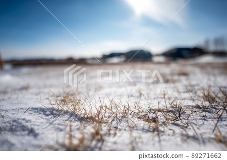 Windswept backyard with blades of dead lawn grass poking through snow Windswept backyard with blades of dead lawn grass poking through snow 89271662