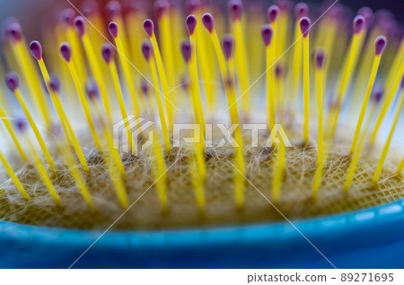 Selective focus on bristles of a hairbrush with tangled hair Selective focus on bristles of a hairbrush with tangled hair 89271695