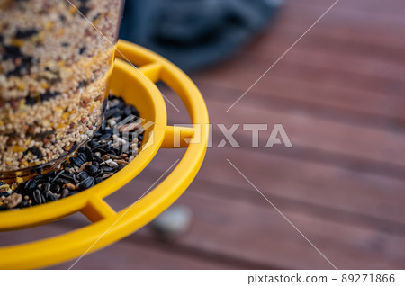 Selective focus on bird feeder with mix of seeds. Residential wooden porch in blurred background. Selective focus on bird feeder with mix of seeds. Residential wooden porch in blurred background. 89271866