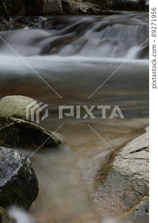 鳥取四季節步行秋江 鳥取四季節步行秋江 89271956