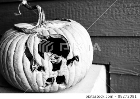 Moldy old pumpkin after being left out in the cold night of Halloween. Moldy old pumpkin after being left out in the cold night of Halloween. 89272081