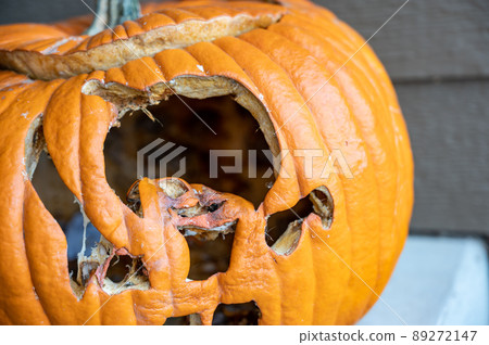 Moldy old pumpkin after being left out in the cold night of Halloween.  89272147