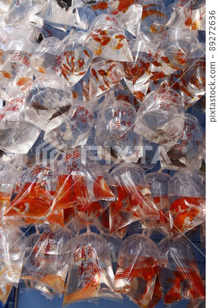 Goldfish sold in plastic bags and sold at Hong Kong Street Goldfish sold in plastic bags and sold at Hong Kong Street 89272636