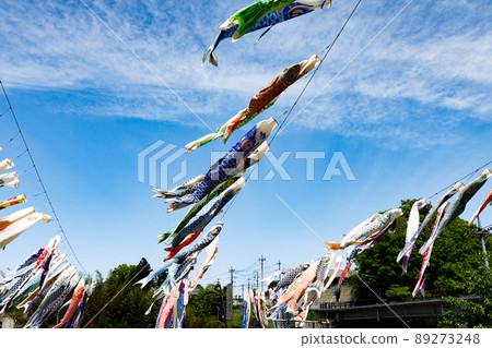 Yokoze Town, Saitama Prefecture Carp Streamer Festival Yokoze Town, Saitama Prefecture Carp Streamer Festival 89273248