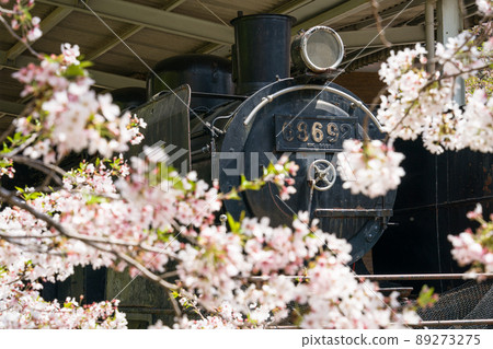 68692 type SL steam locomotive that is statically preserved in Tokushima Central Park 89273275
