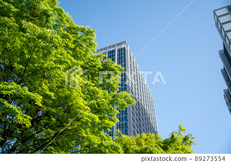 Skyscrapers and fresh greenery in the Konan area of Minato Ward near Shinagawa Station Skyscrapers and fresh greenery in the Konan area of Minato Ward near Shinagawa Station 89273554