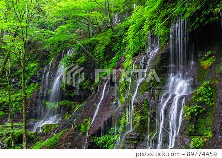 [栃木縣Sukkazawa]美麗的水和綠色森林的神秘瀑布 89274459