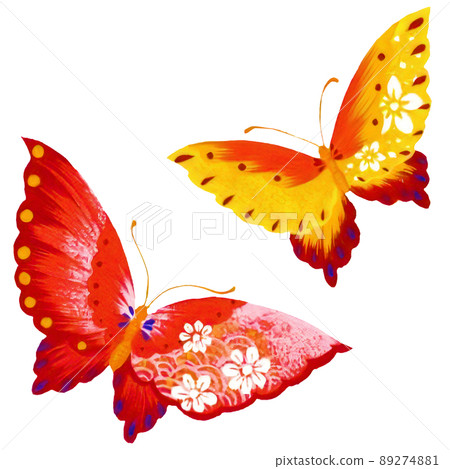 兩隻簡單而多彩的蝴蝶的插圖 兩隻簡單而多彩的蝴蝶的插圖 89274881