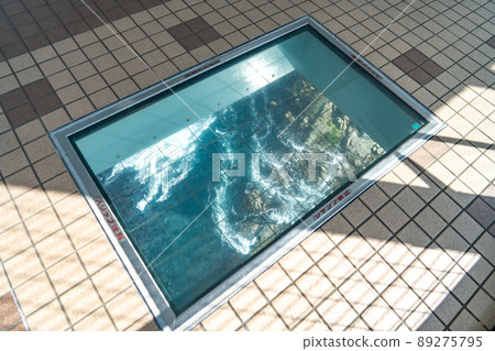 德島縣鳴門市 在小鳴門橋下可以看到鳴門海峽的蜿蜒曲折的道路 德島縣鳴門市 在小鳴門橋下可以看到鳴門海峽的蜿蜒曲折的道路 89275795