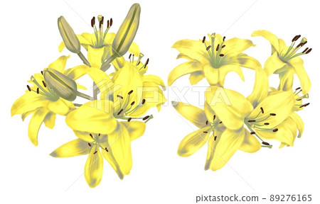 Watercolor yellow bright lilies. Bouquet of yellow lilies isolated on a white background Watercolor yellow bright lilies. Bouquet of yellow lilies isolated on a white background 89276165