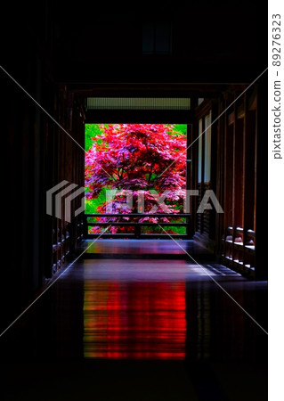 Nara Hasedera 89276323