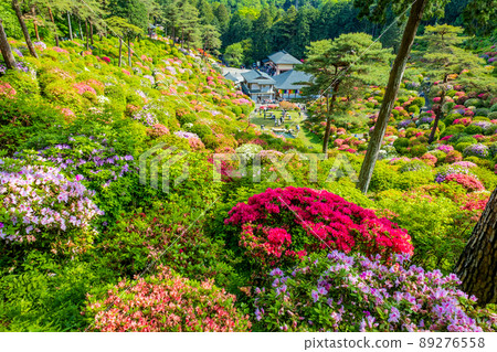 Azalea Garden and Gomadou 1 89276558