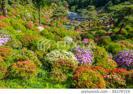 Azalea Garden and Gomadou 2 Azalea Garden and Gomadou 2 89276559