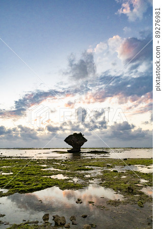 Okinawa Toguchi Beach at low tide 89276981