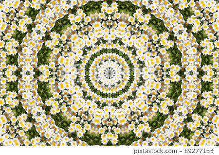 White flower kaleidoscope White flower kaleidoscope 89277133