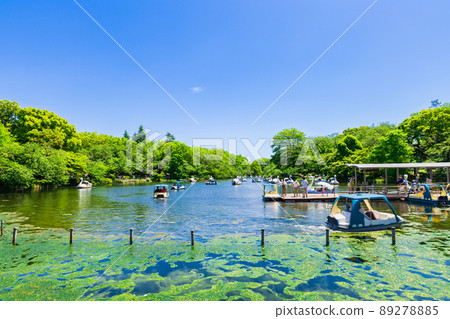 吉祥寺新綠井之頭公園 89278885