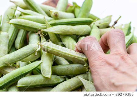 Harvested peas and hands to grab them 89279393