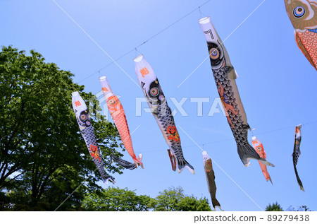 Fukaya City, Saitama Prefecture Carp streamer of a green powerhouse 89279438
