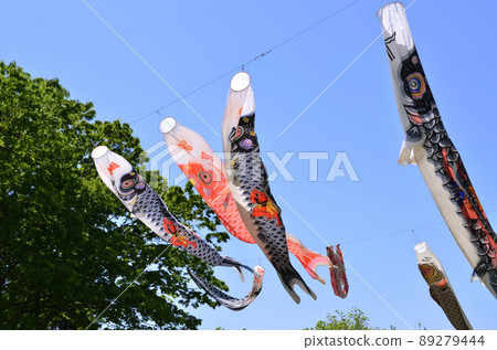 Fukaya City, Saitama Prefecture Carp streamer of a green powerhouse Fukaya City, Saitama Prefecture Carp streamer of a green powerhouse 89279444