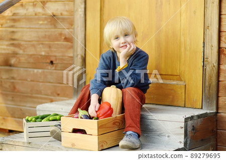 Cute little boy enjoy organic harvest on a porch of barn. Harvesting time. Healthy homegrown vegetarian food for kids. Vegetables for sale for fair or market. Cute little boy enjoy organic harvest on a porch of barn. Harvesting time. Healthy homegrown vegetarian food for kids. Vegetables for sale for fair or market. 89279695