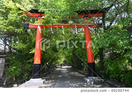 我在四月參觀的宇治市世界遺產宇治上神社的鳥居門和入口很神秘。 89280744