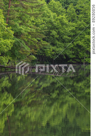 200620 壩湖g072 89280856