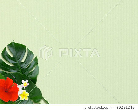 熱帶大氣背景素材 89281213