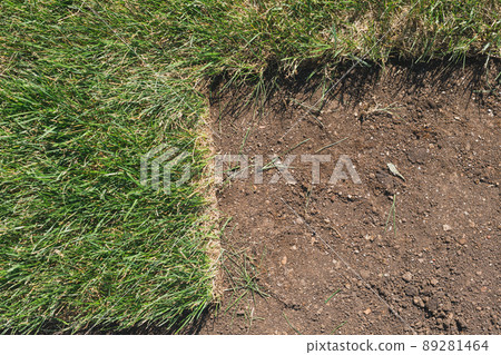 Installing new grass turfs from a roll - Garden building theme 89281464